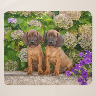 Cute Bavarian Mountain Hound Puppies met bloemen Sherpa Deken