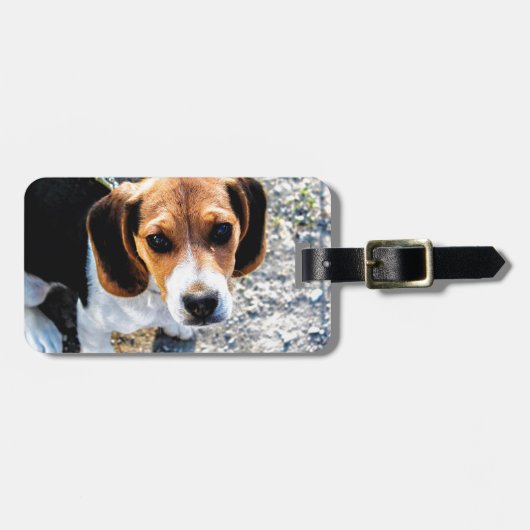 Cute Beagle Bagagelabel (Voorkant horizontaal)