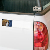 Cute Beagle Bumpersticker (Op Truck)