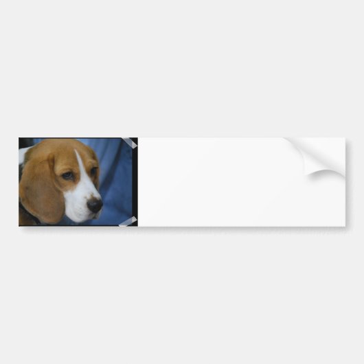 Cute Beagle Bumpersticker (Voorkant)