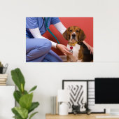 Cute Beagle Dog die een veterinaire controle krijg Poster (Thuiskantoor)