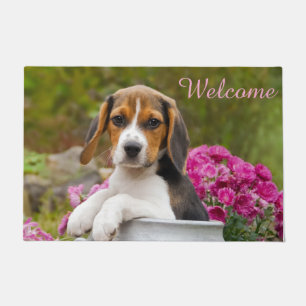 Cute Beagle Dog Puppy in Milk Churn Entry Welcome Deurmat