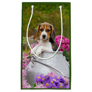 Cute Beagle Dog Puppy in Milk Churn met Flowers - Klein Cadeauzakje