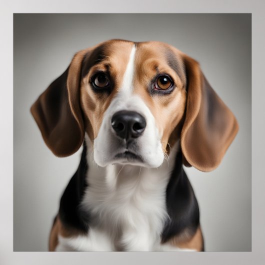 Cute Beagle Poster (Voorkant)