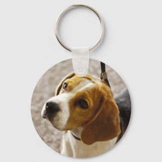 Cute Beagle wacht op een behandeling! Sleutelhanger