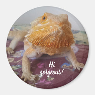 Cute Bearded Dragon Afbeelding Magneet