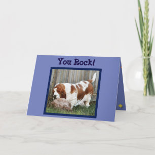 Cute Bedankt met Basset en Rock -"You Rock"