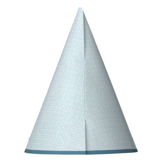 Cute Beer Third Birthday Party Pet Feesthoedjes (Achterkant)