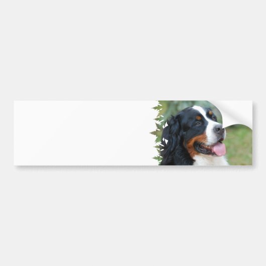 Cute Bernese Bumpersticker (Voorkant)