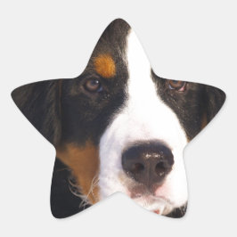 Cute Bernese moundog Ster Sticker