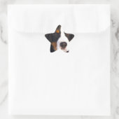 Cute Bernese moundog Ster Sticker (Tas)