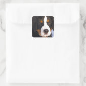 Cute Bernese moundog Vierkante Sticker (Tas)