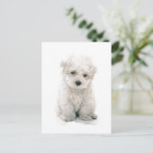Cute Bichon Frise Briefkaart (Staand voorkant)