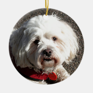 Cute bichon frise hond keramisch ornament