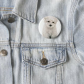 Cute Bichon Frise Round Button (In situ)