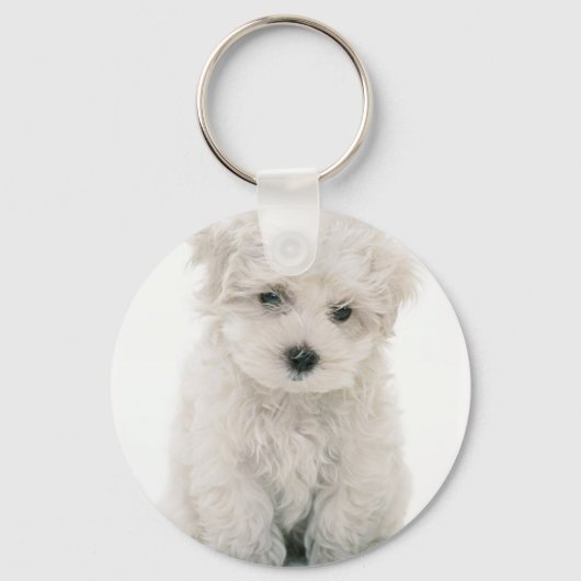 Cute Bichon Frise Sleutelhanger (Voorkant)