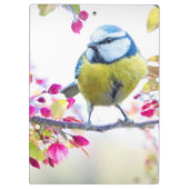 Cute Bird Klembord (Achterkant)