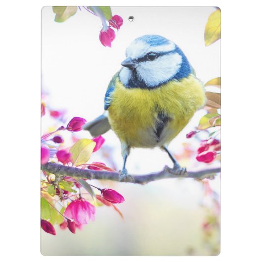 Cute Bird Klembord (Achterkant)