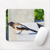 Cute Bird Muismat (Met muis)