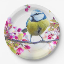 Cute Bird