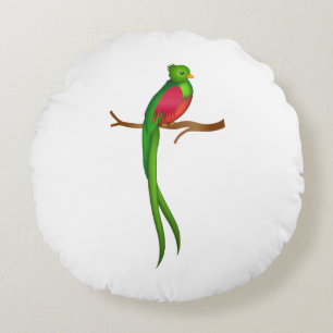 Cute bird Quetzal Rond Kussen