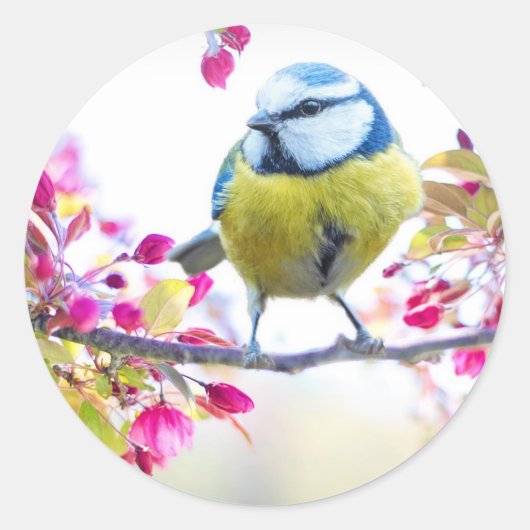 Cute Bird Ronde Sticker (Voorkant)