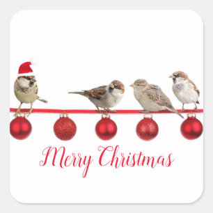 Cute Bird with Santa Hat Merry Kerstmis Vierkante Sticker