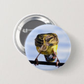 Cute Birdie Buttonnen Ronde Button 5,7 Cm (Voorkant /achterkant)