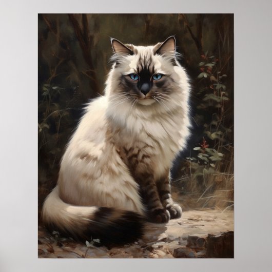 Cute Birman Cat Art Imprimer Poster (Devant)