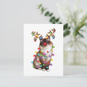 Cute Birman Cat Funny kerstfeestcadeautjes Briefkaart (Staand voorkant)