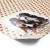 Cute Birmese Mountain Dogs PHOTO Named Keepslag Foto Afdruk (Hoek)