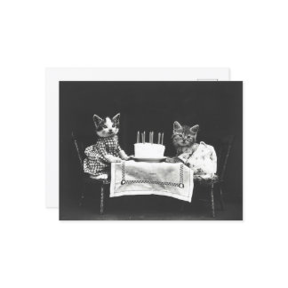 CUTE BIRTHDAY CAT  BRIEFKAART
