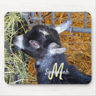 Cute Black Baby Goat Eating Hay Photo Monogram Muismat