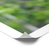 Cute Black Bear Cub Escalade un arbre Poster (Coin)