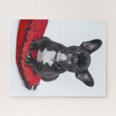 Cute Black BULLDOG Puppy  Legpuzzel (Horizontaal)