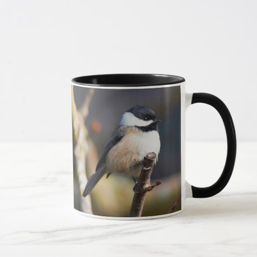 Cute Black Capped Chickadee on Branch Mok (Rechts)