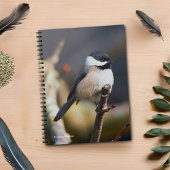 Cute Black Capped Chickadee on Branch Notitieboek