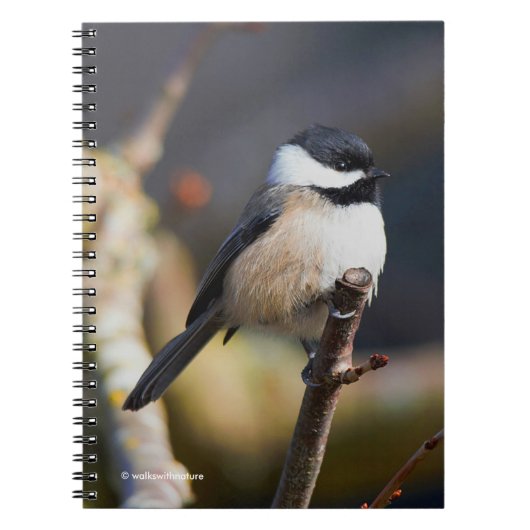 Cute Black Capped Chickadee on Branch Notitieboek (Voorkant)