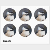 Cute Black Capped Chickadee on Branch Ronde Sticker (Vel)