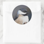 Cute Black Capped Chickadee on Branch Ronde Sticker (Tas)