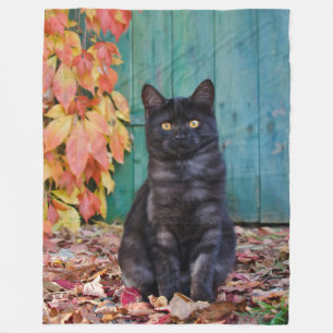 Cute Black Cat Kitten met Red Leaves Blue Dep - Fleece Deken