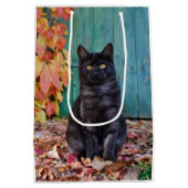 Cute Black Cat Kitten met rode bladeren Blauwe deu Medium Cadeauzakje (Achterkant)
