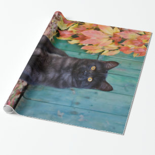 Cute Black Cat Kitten met rode bladeren met blauwe Cadeaupapier