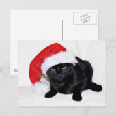 Cute Black Cat met Santa Hat Briefkaart (Voorkant / Achterkant)