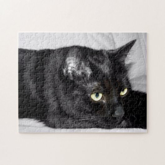 Cute Black Cat Portrait Legpuzzel (Horizontaal)