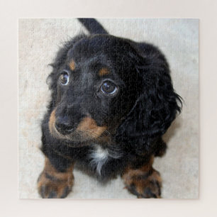 Cute black Dachshund Puppy Dog Legpuzzel
