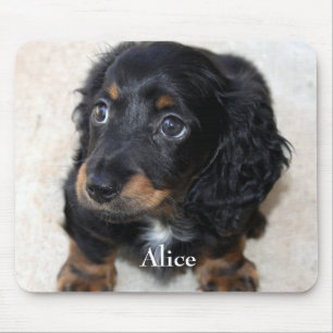 Cute black Dachshund Puppy Dog Pet Muismat
