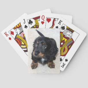 Cute black Dachshund Puppy Dog Pokerkaarten