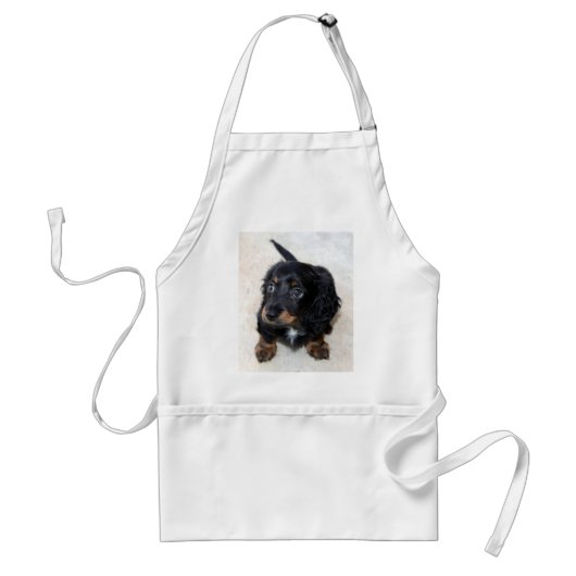 Cute black Dachshund Puppy Dog Standaard Schort (Voorkant)
