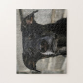 Cute Black Dog Lab Shepherd Mix Breed Hard Evil Legpuzzel (Verticaal)